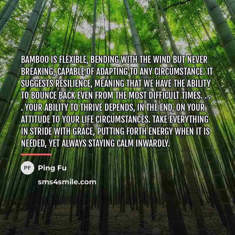 “Bamboo is flexible, bending with the wind but never breaking,…” quote by Ping Fu