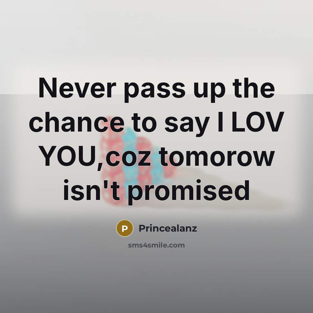 “Never pass up the chance to say I LOV YOU,coz…” quote by Princealanz