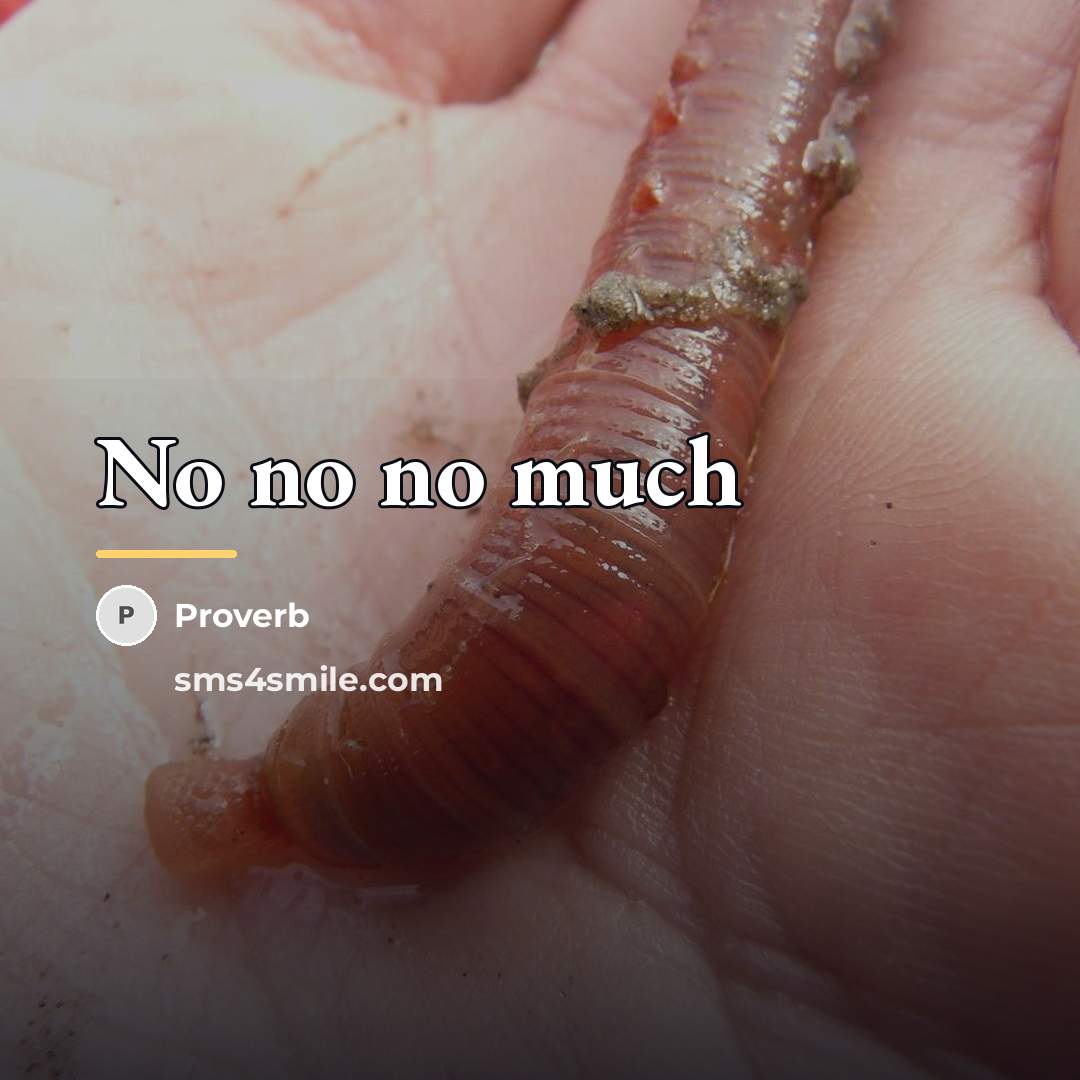 “No no no much…” quote by Proverb