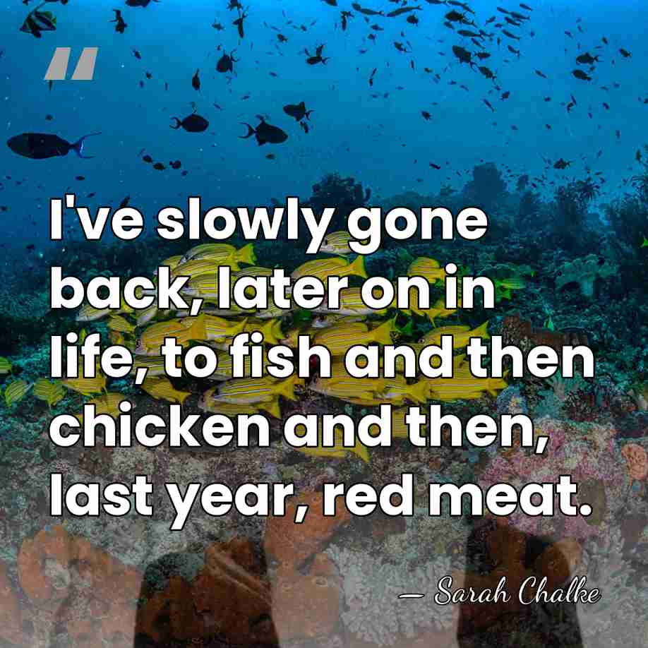I've slowly gone back, later on in life, to fish and then&hellip; - Sarah Chalke