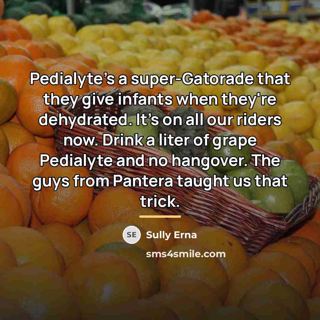“Pedialyte's a super-Gatorade that they give infants when they're dehydrated.…” quote by Sully Erna