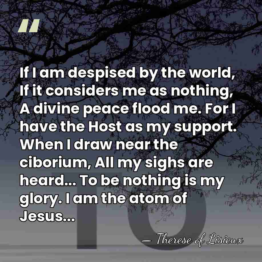If I am despised by the world, If it considers me as&hellip; - Therese of Lisieux