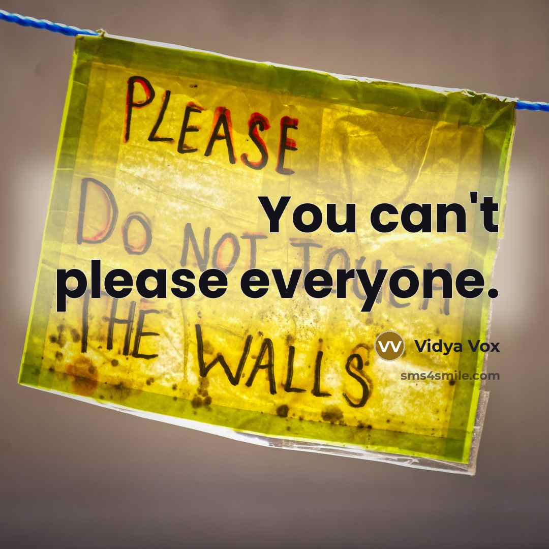 “You can't please everyone.…” quote by Vidya Vox