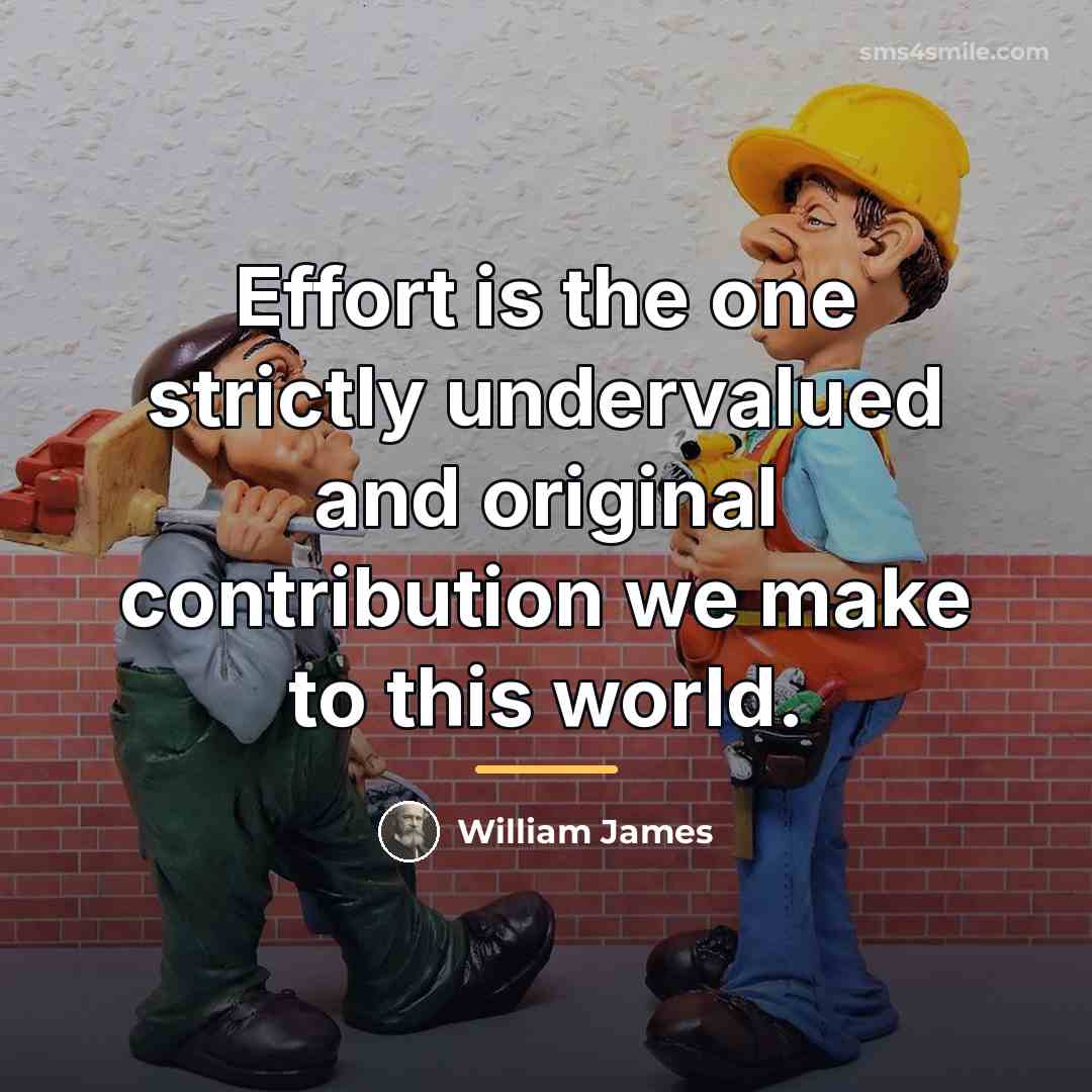 “Effort is the one strictly undervalued and original contribution we…” quote by William James
