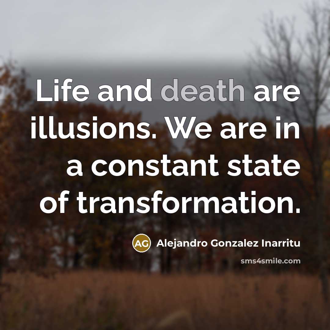 “Life and death are illusions. We are in a constant…” quote by Alejandro Gonzalez Inarritu