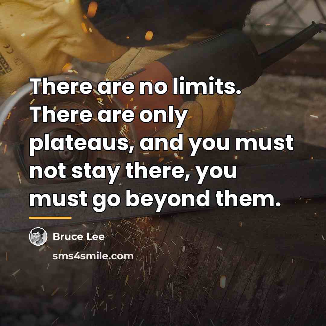 “There are no limits. There are only plateaus, and you…” quote by Bruce Lee