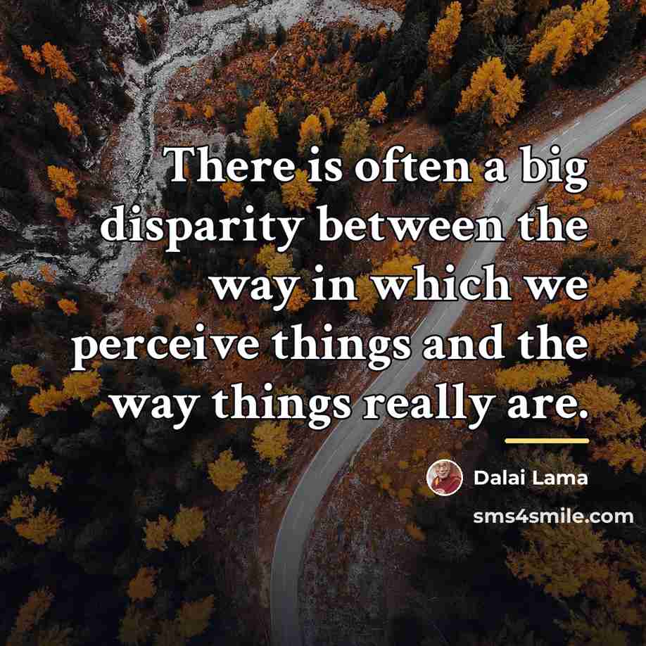 “There is often a big disparity between the way in…” quote by Dalai Lama