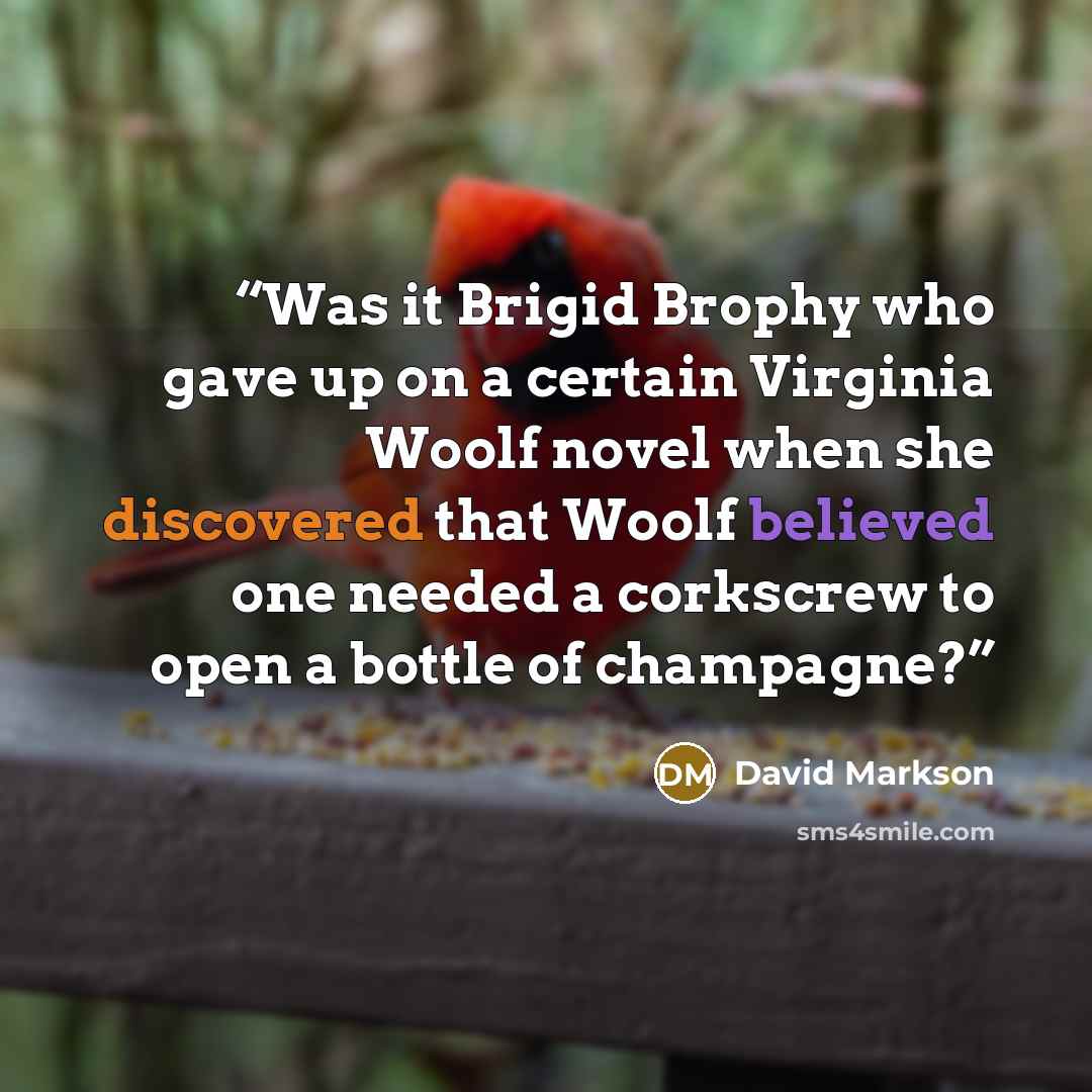 “Was it Brigid Brophy who gave up on a certain Virginia Woolf novel when she discovered that Woolf believed one needed a corkscrew to open a bottle of champagne?” quote by David Markson
