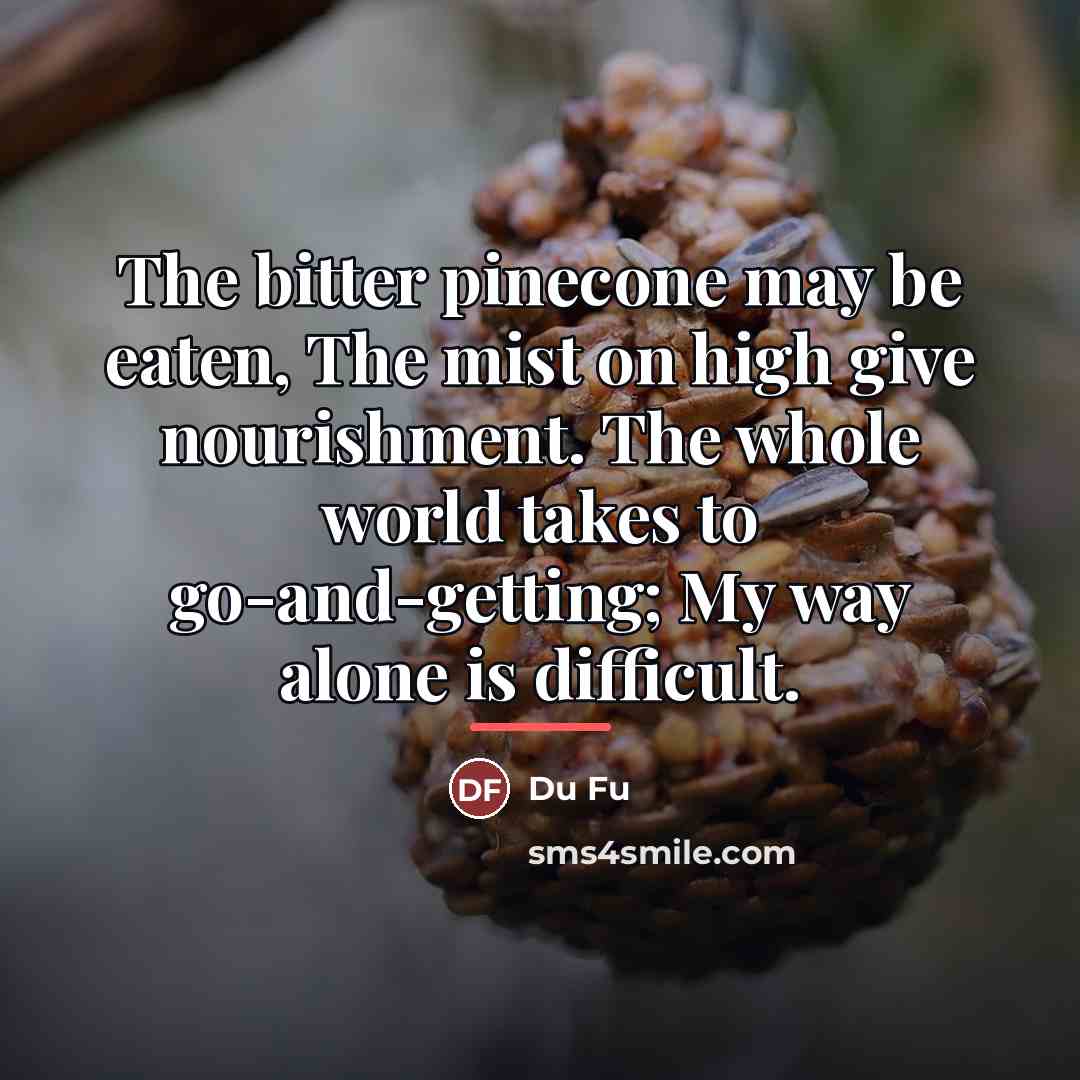 “The bitter pinecone may be eaten, The mist on high…” quote by Du Fu