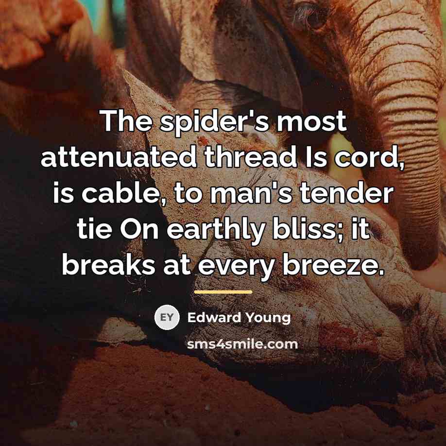 “The spider's most attenuated thread Is cord, is cable, to…” quote by Edward Young