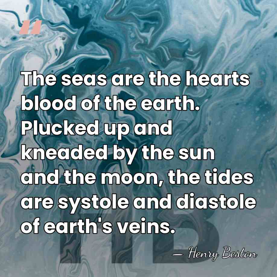 The seas are the hearts blood of the earth. Plucked up and&hellip; - Henry Beston