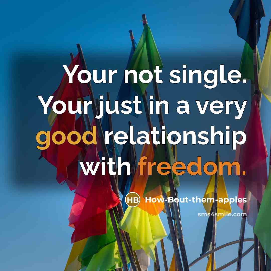 “Your not single. Your just in a very good relationship with freedom.” quote by How-Bout-them-apples