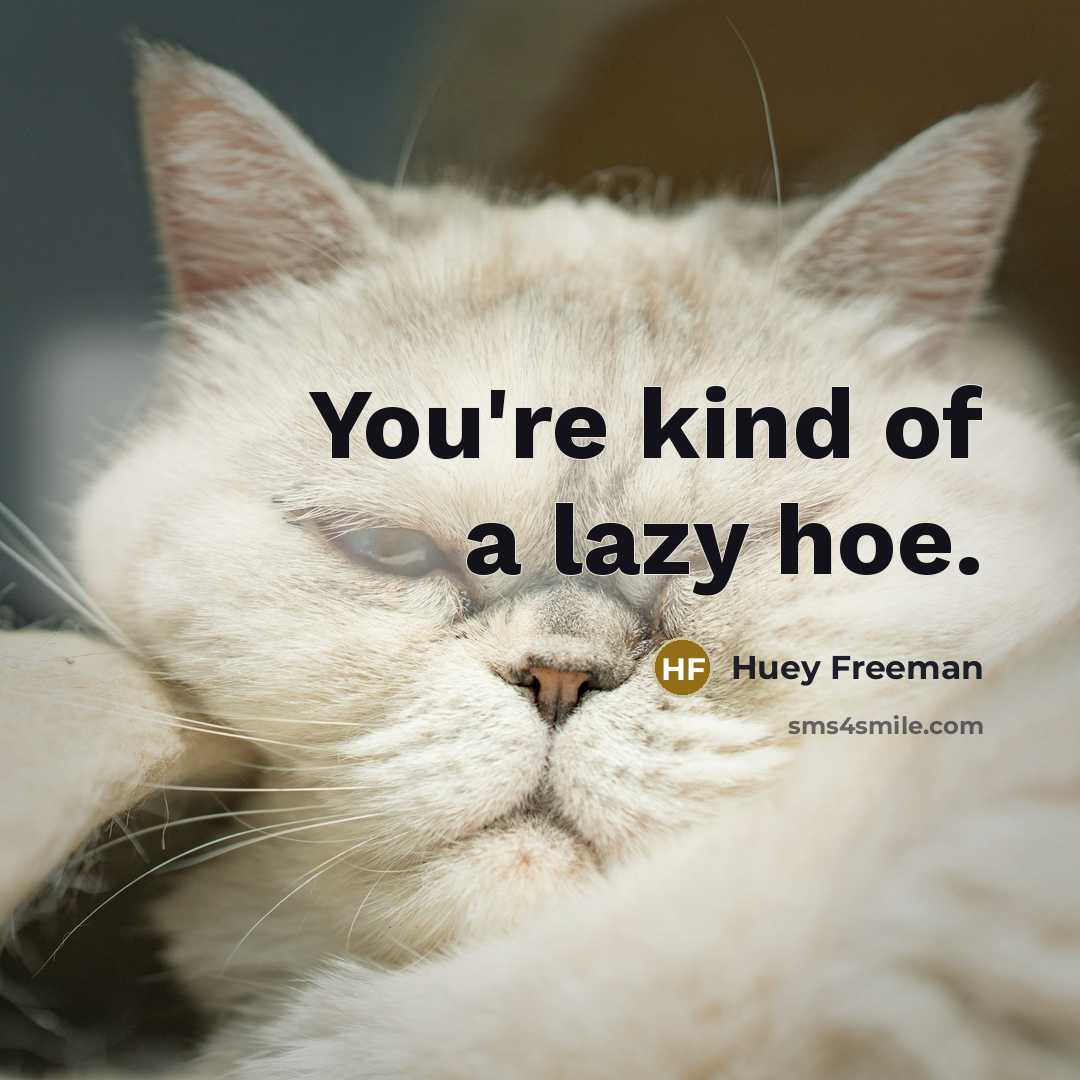 “You're kind of a lazy hoe.…” quote by Huey Freeman
