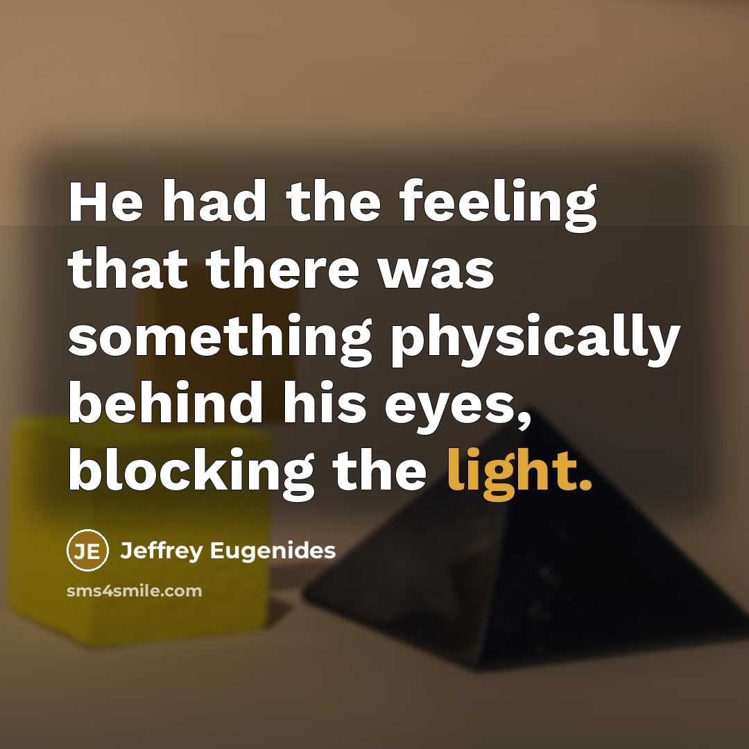 “He had the feeling that there was something physically behind…” quote by Jeffrey Eugenides