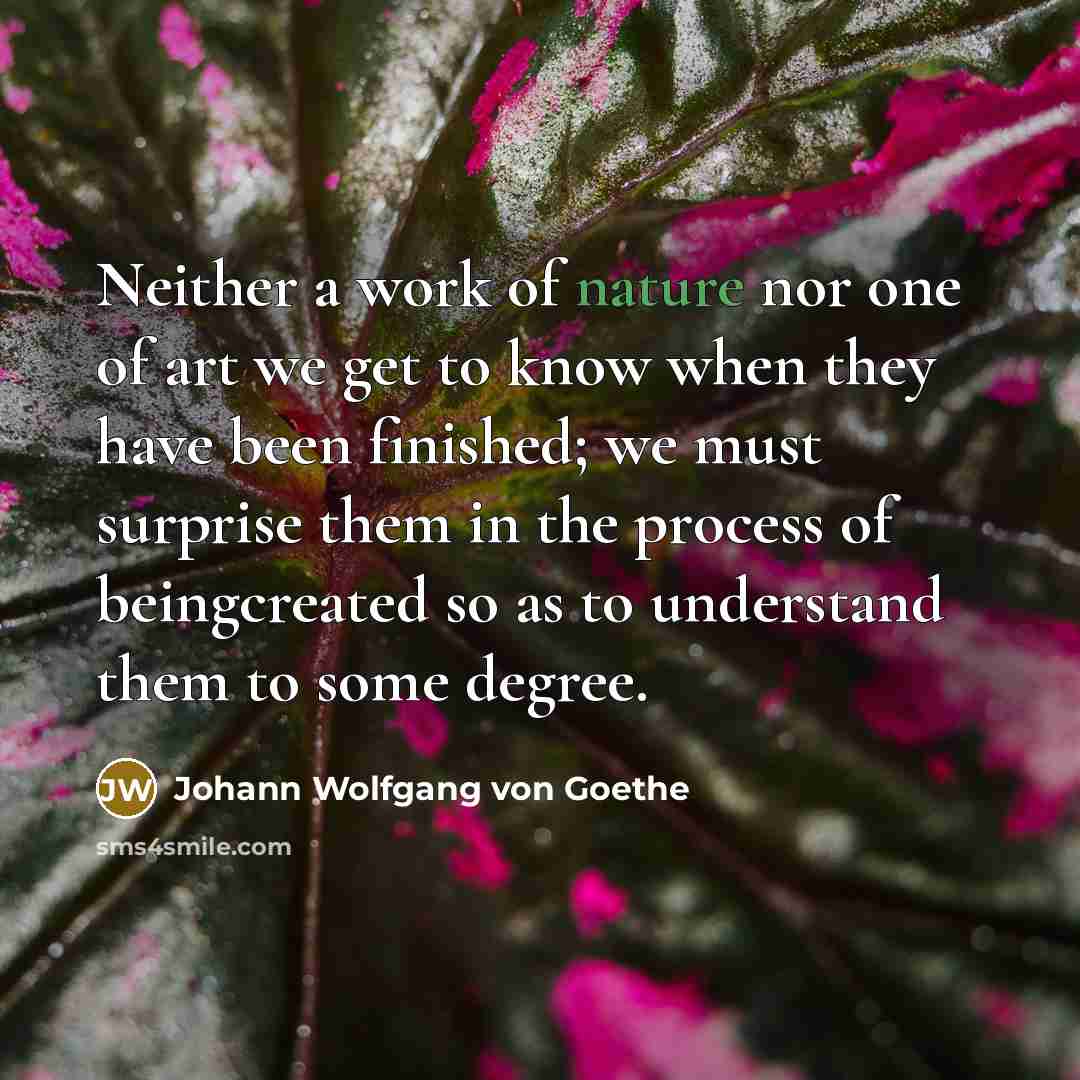 “Neither a work of nature nor one of art we…” quote by Johann Wolfgang von Goethe
