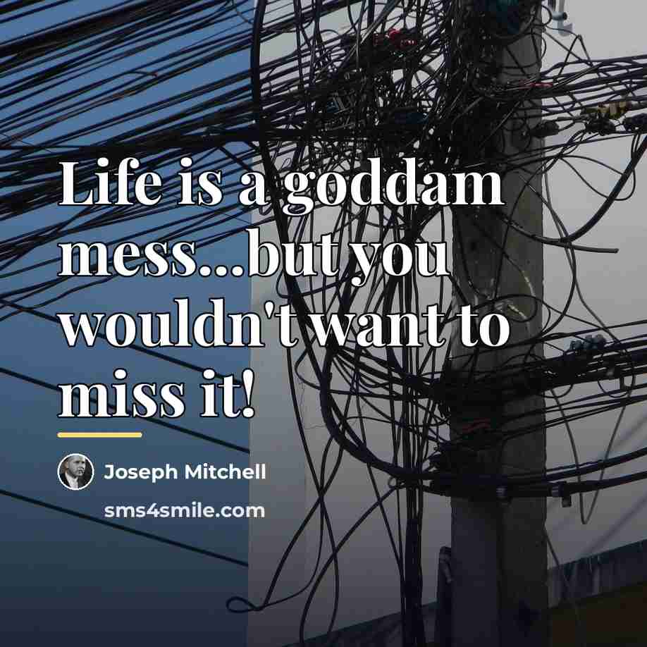“Life is a goddam mess...but you wouldn't want to miss…” quote by Joseph Mitchell