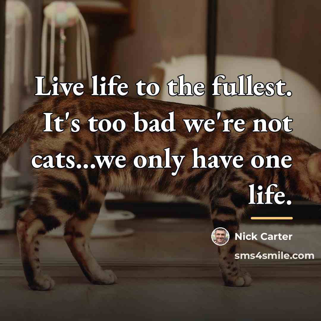“Live life to the fullest. It's too bad we're not…” quote by Nick Carter