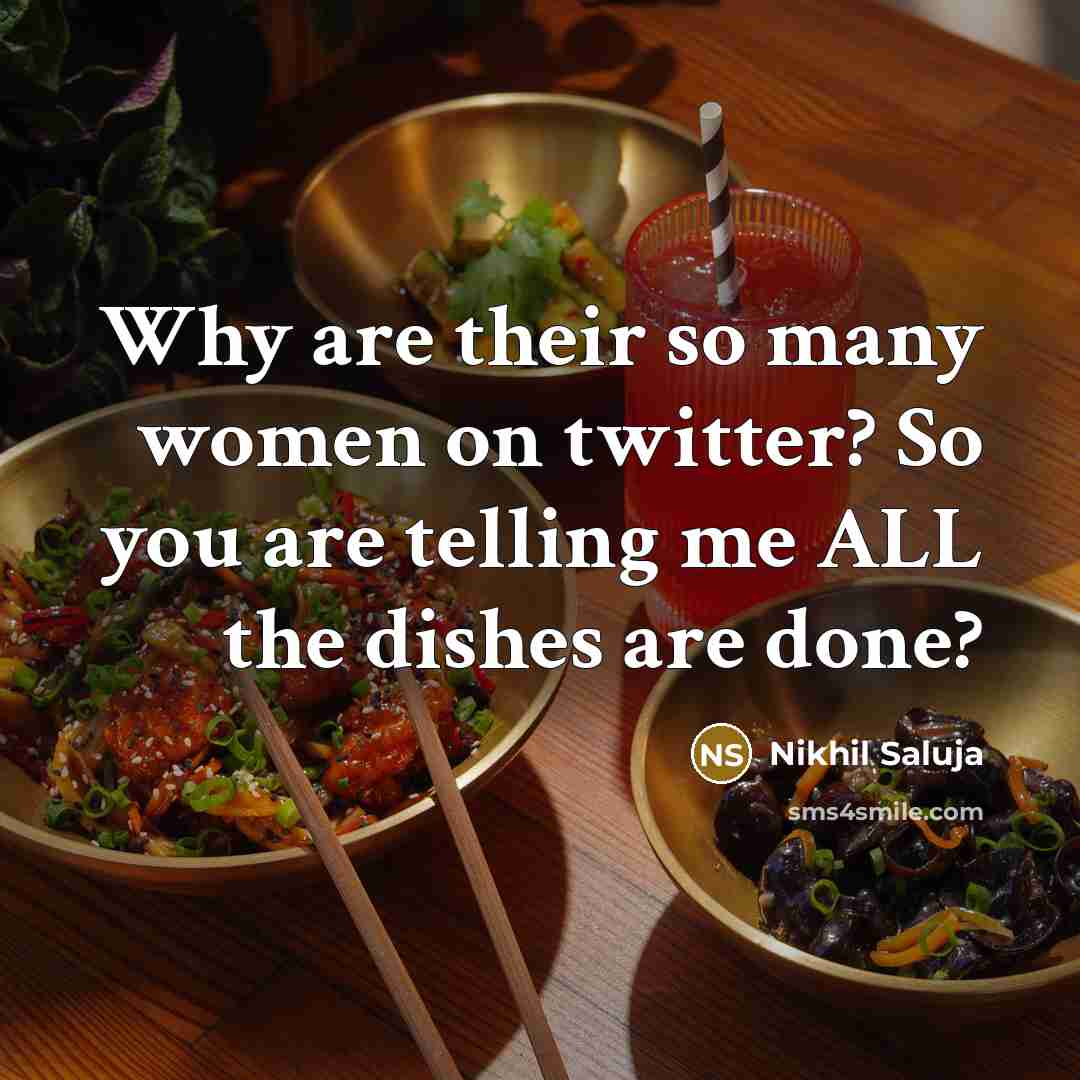 “Why are their so many women on twitter? So you are telling me ALL the dishes are done?” quote by Nikhil Saluja
