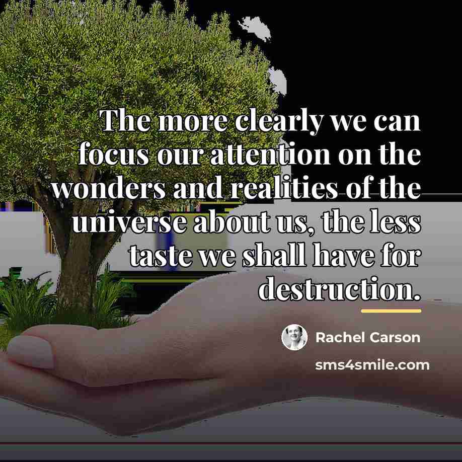 “The more clearly we can focus our attention on the…” quote by Rachel Carson