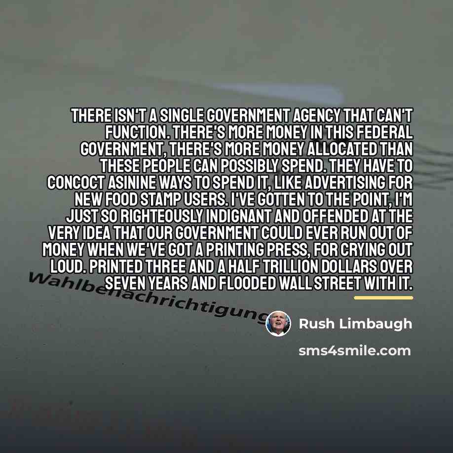 “There isn't a single government agency that can't function. There's…” quote by Rush Limbaugh