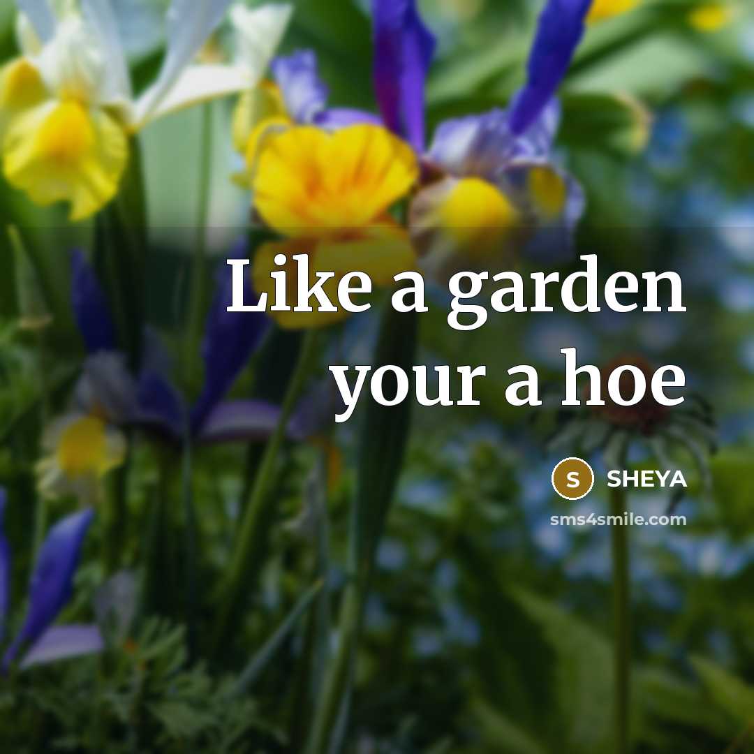 “Like a garden your a hoe…” quote by SHEYA