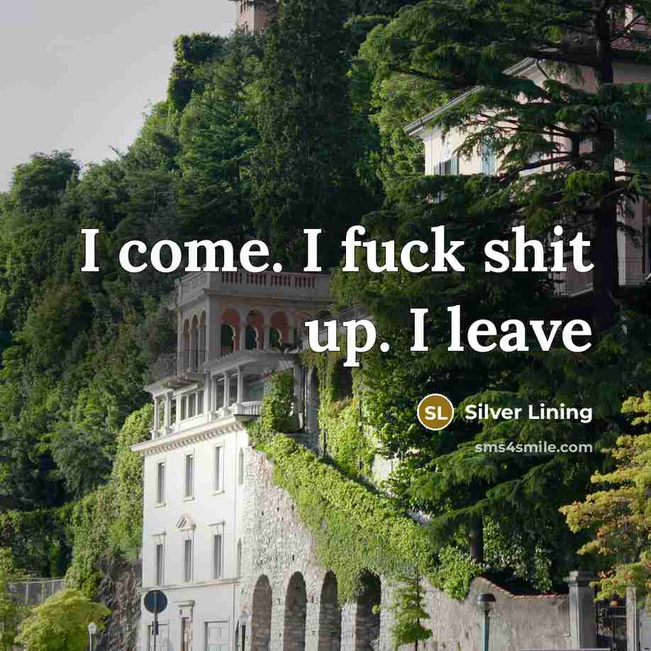 “I come. I fuck shit up. I leave…” quote by Silver Lining