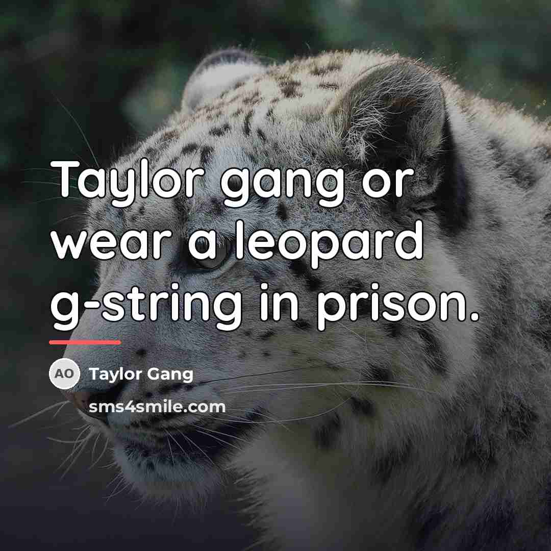“Taylor gang or wear a leopard g-string in prison.…” quote by Taylor Gang