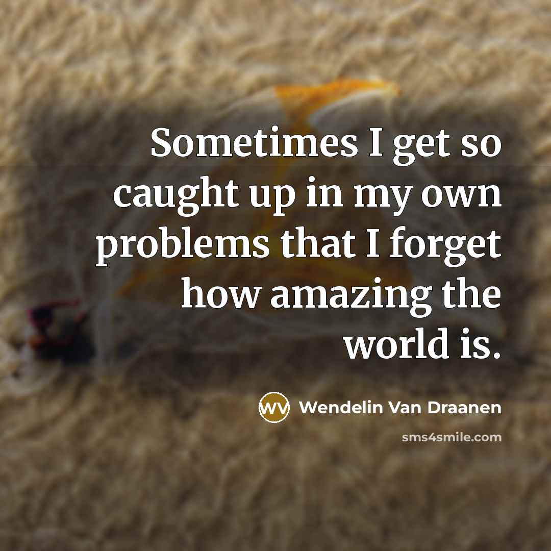 “Sometimes I get so caught up in my own problems…” quote by Wendelin Van Draanen