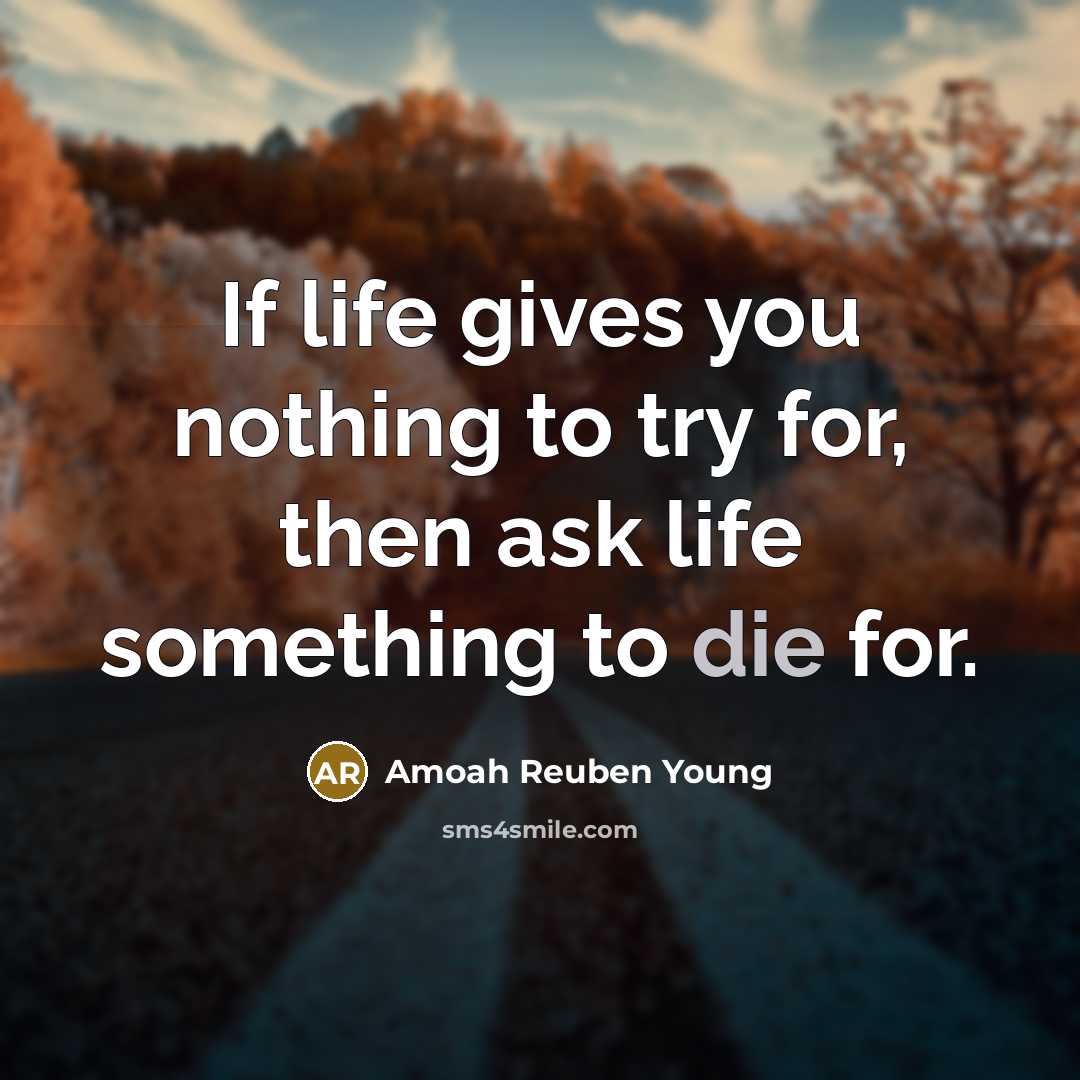 “If life gives you nothing to try for, then ask…” quote by Amoah Reuben Young