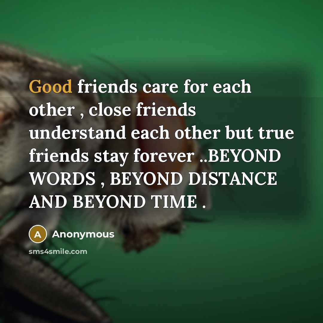 “Good friends care for each other , close friends understand…” quote by Anonymous