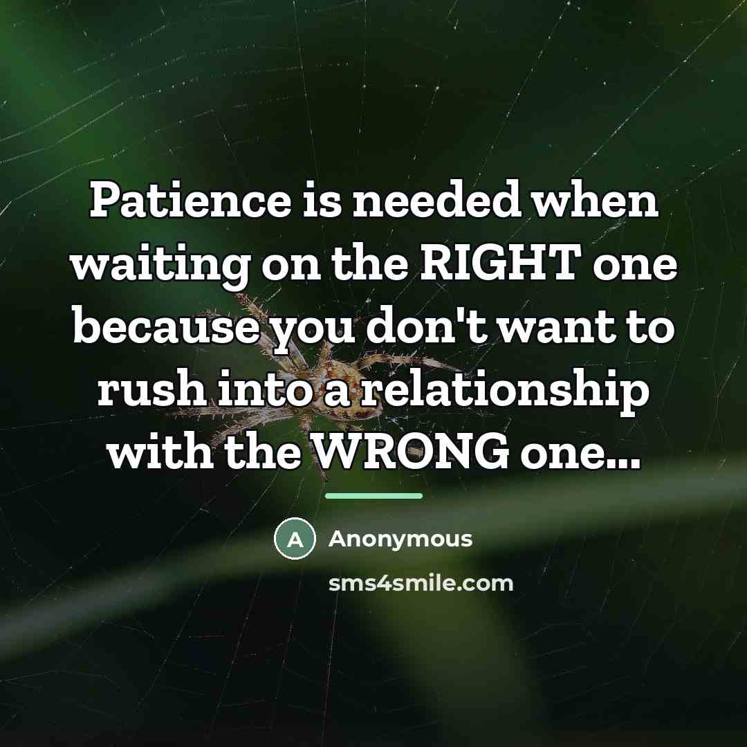 “Patience is needed when waiting on the RIGHT one because…” quote by Anonymous