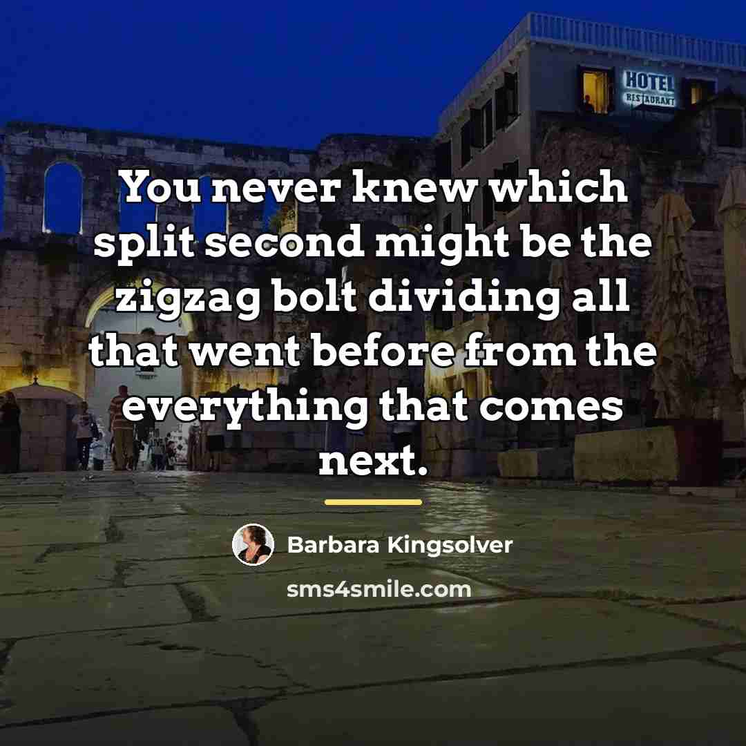 “You never knew which split second might be the zigzag…” quote by Barbara Kingsolver