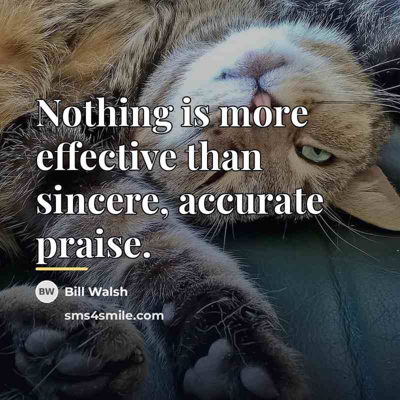 “Nothing is more effective than sincere, accurate praise.…” quote by Bill Walsh