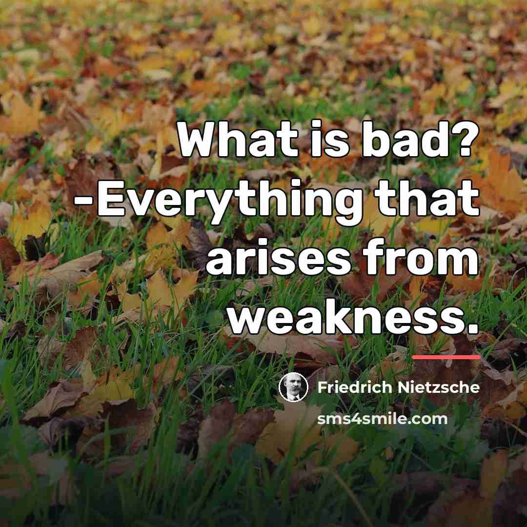 “What is bad? -Everything that arises from weakness.…” quote by Friedrich Nietzsche