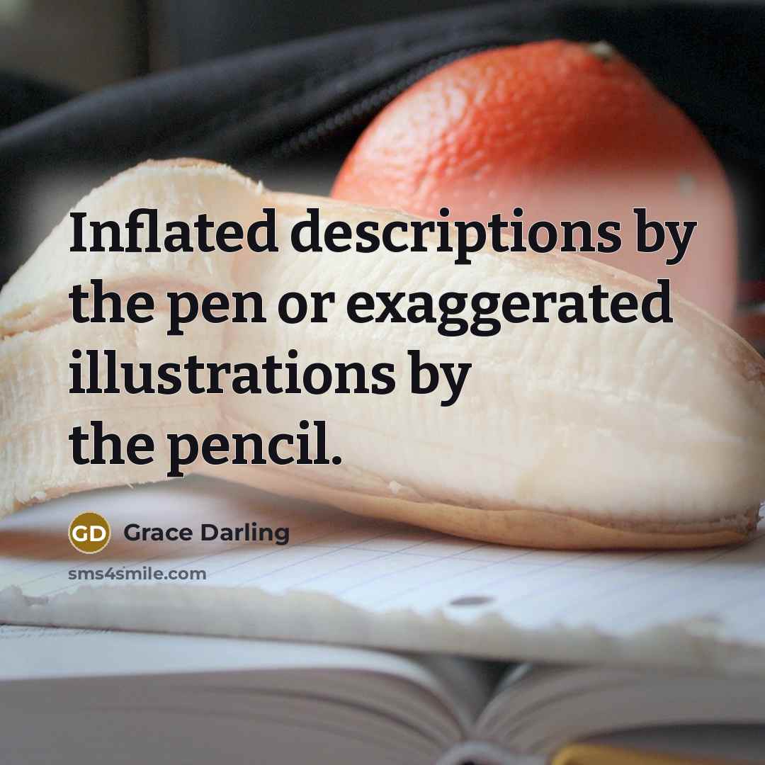 “Inflated descriptions by the pen or exaggerated illustrations by the…” quote by Grace Darling