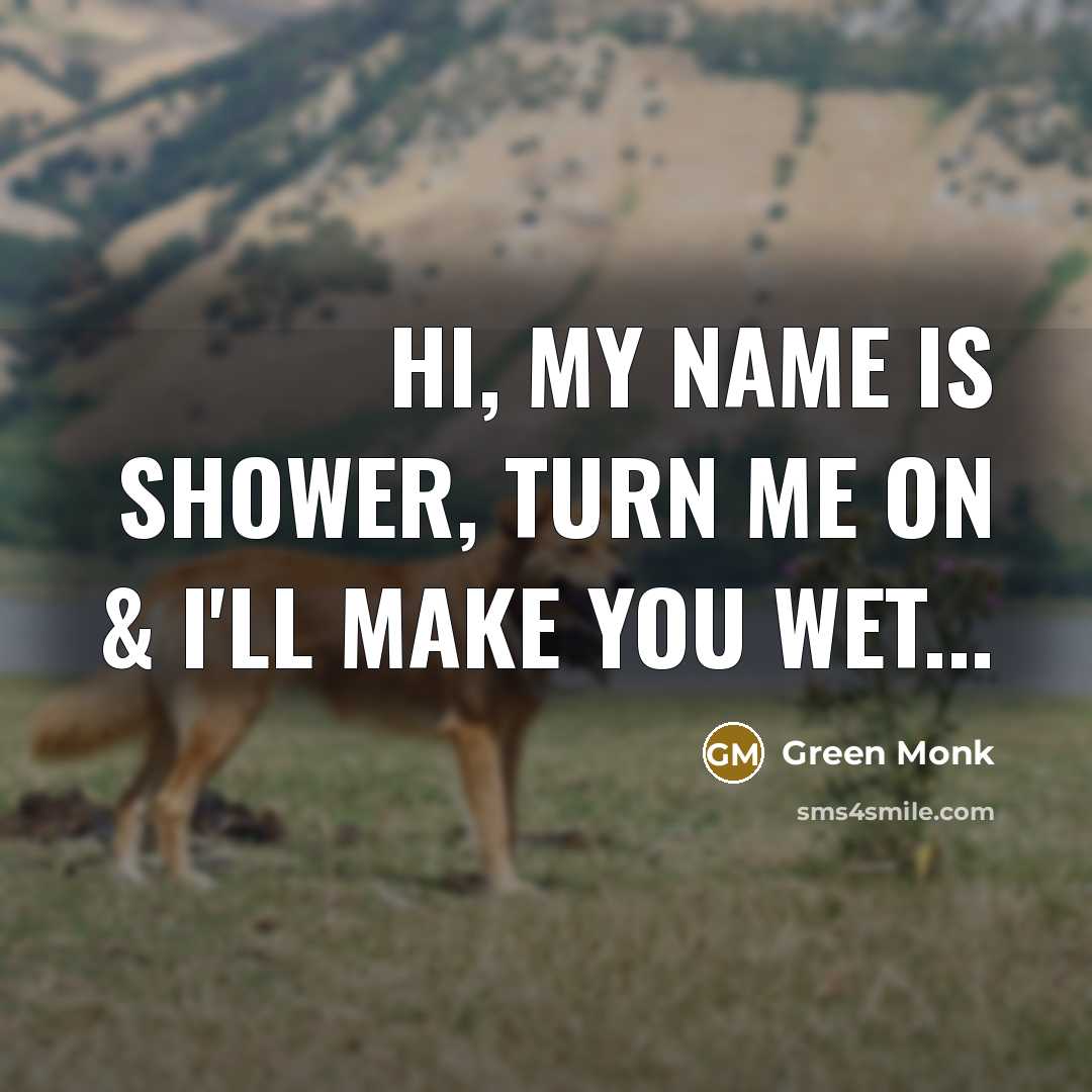 “Hi, my name is Shower, turn me on & I'll…” quote by Green Monk