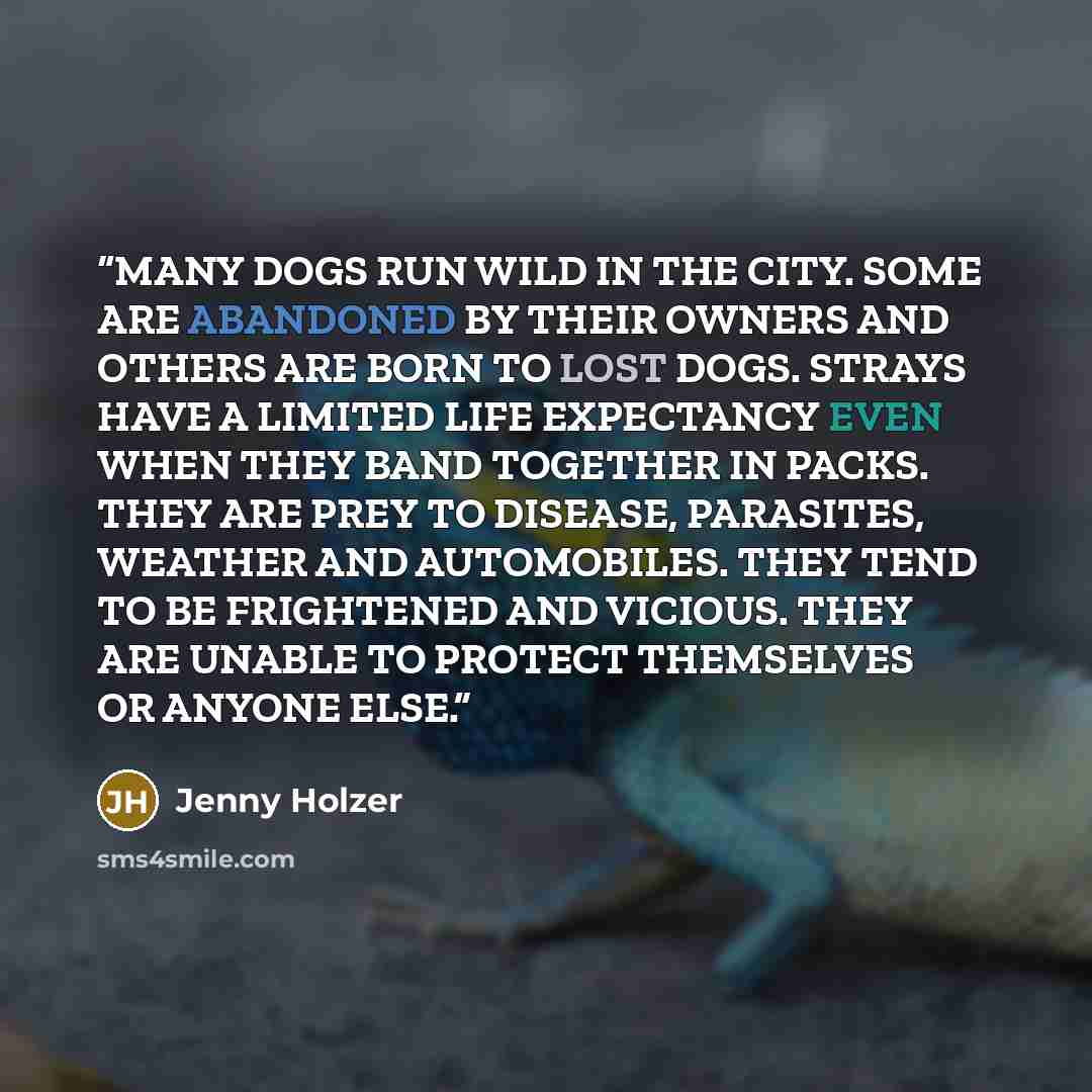 “MANY DOGS RUN WILD IN THE CITY. SOME ARE ABANDONED BY THEIR OWNERS AND OTHERS ARE BORN TO LOST DOGS. STRAYS HAVE A LIMITED LIFE EXPECTANCY EVEN WHEN THEY BAND TOGETHER IN PACKS. THEY ARE PREY TO DISEASE, PARASITES, WEATHER AND AUTOMOBILES. THEY TEND TO BE FRIGHTENED AND VICIOUS. THEY ARE UNABLE TO…” quote by Jenny Holzer