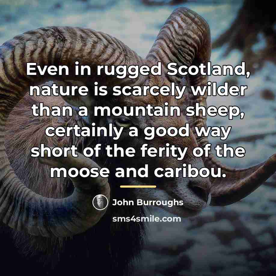 “Even in rugged Scotland, nature is scarcely wilder than a…” quote by John Burroughs