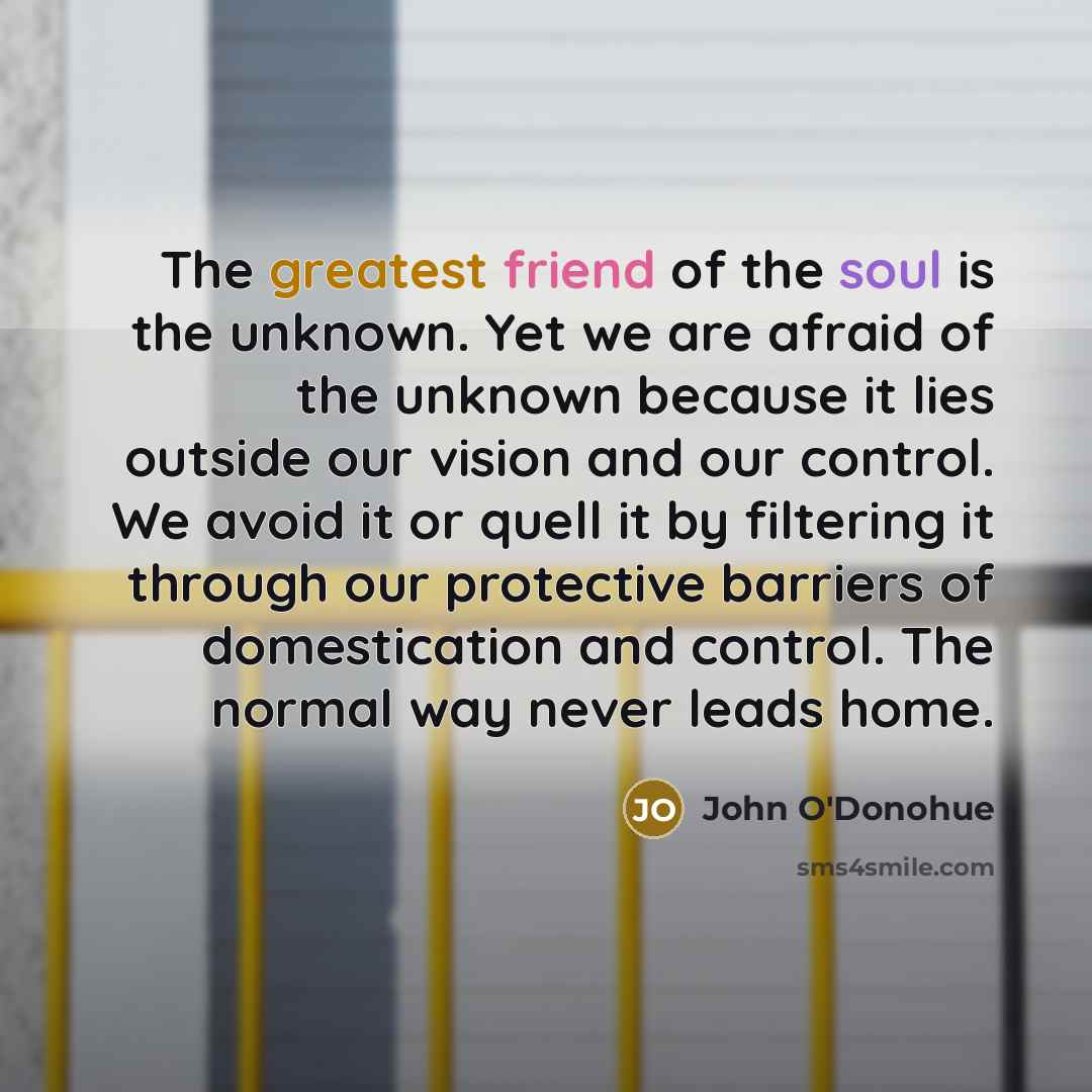 “The greatest friend of the soul is the unknown. Yet we are afraid of the unknown because it lies outside our vision and our control. We avoid it or quell it by filtering it through our protective barriers of domestication and control. The normal way never leads home.” quote by John O'Donohue