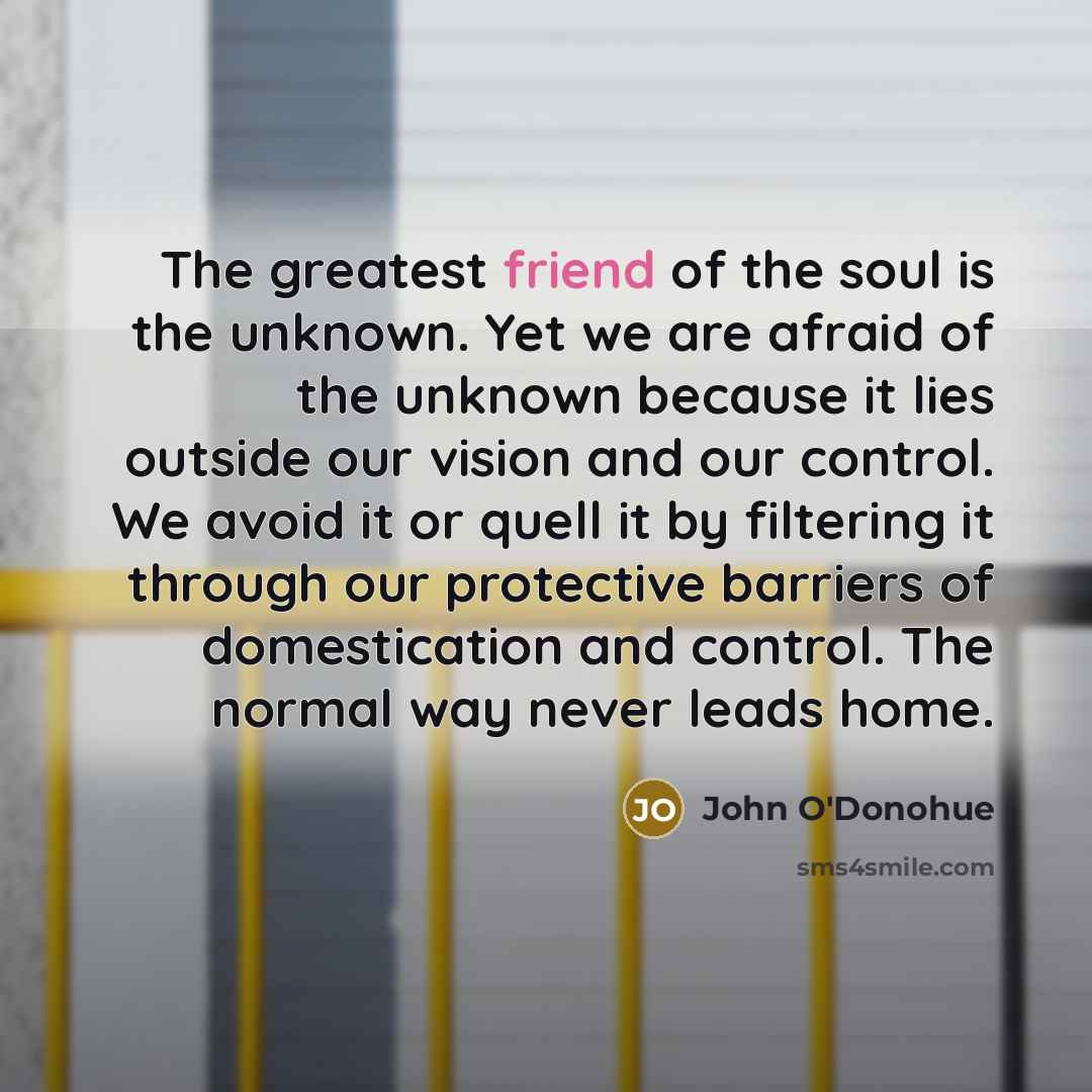 “The greatest friend of the soul is the unknown. Yet…” quote by John O'Donohue