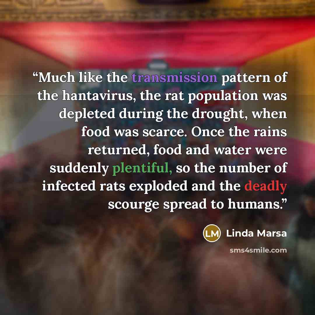 “Much like the transmission pattern of the hantavirus, the rat population was depleted during the drought, when food was scarce. Once the rains returned, food and water were suddenly plentiful, so the number of infected rats exploded and the deadly scourge spread to humans.” quote by Linda Marsa
