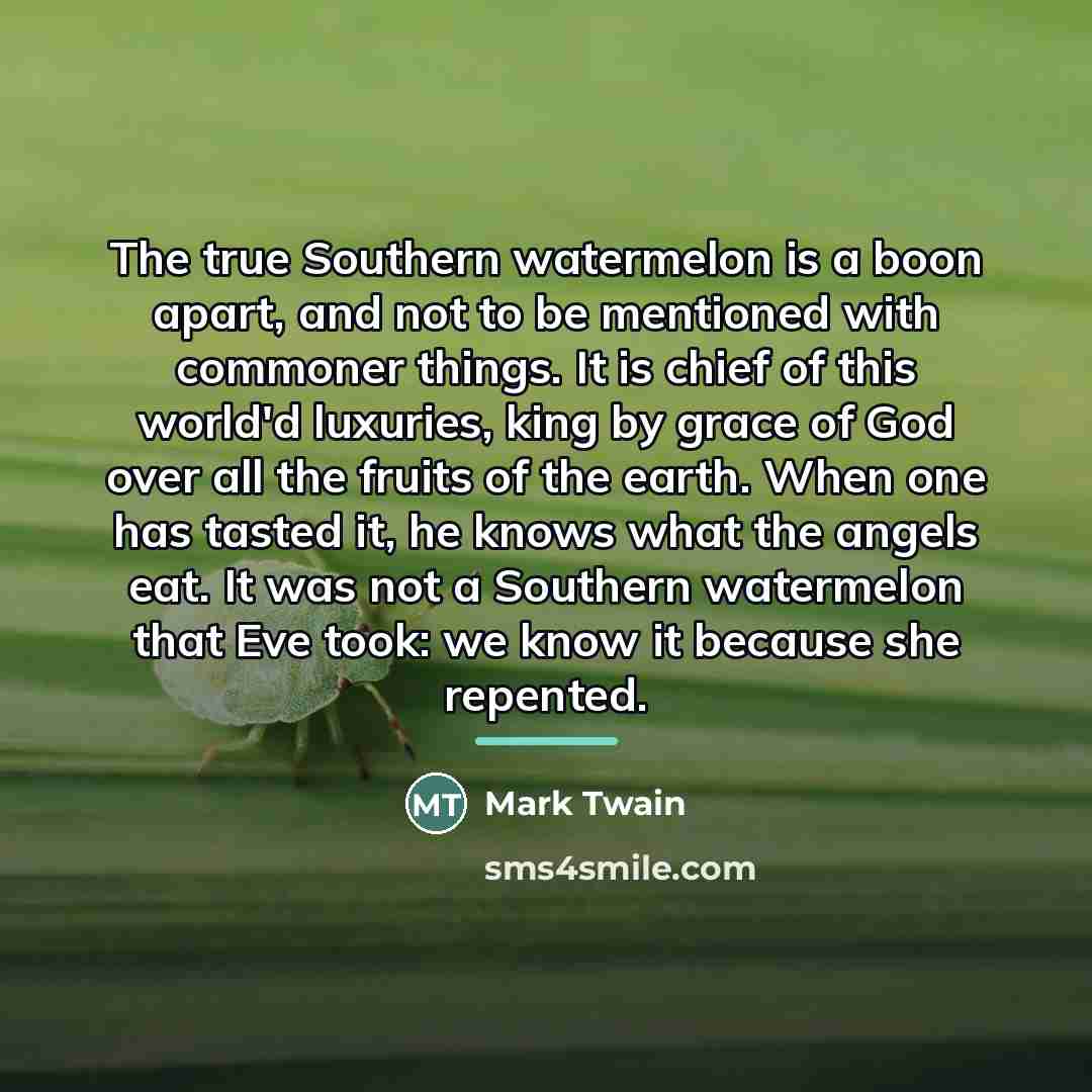 “The true Southern watermelon is a boon apart, and not…” quote by Mark Twain