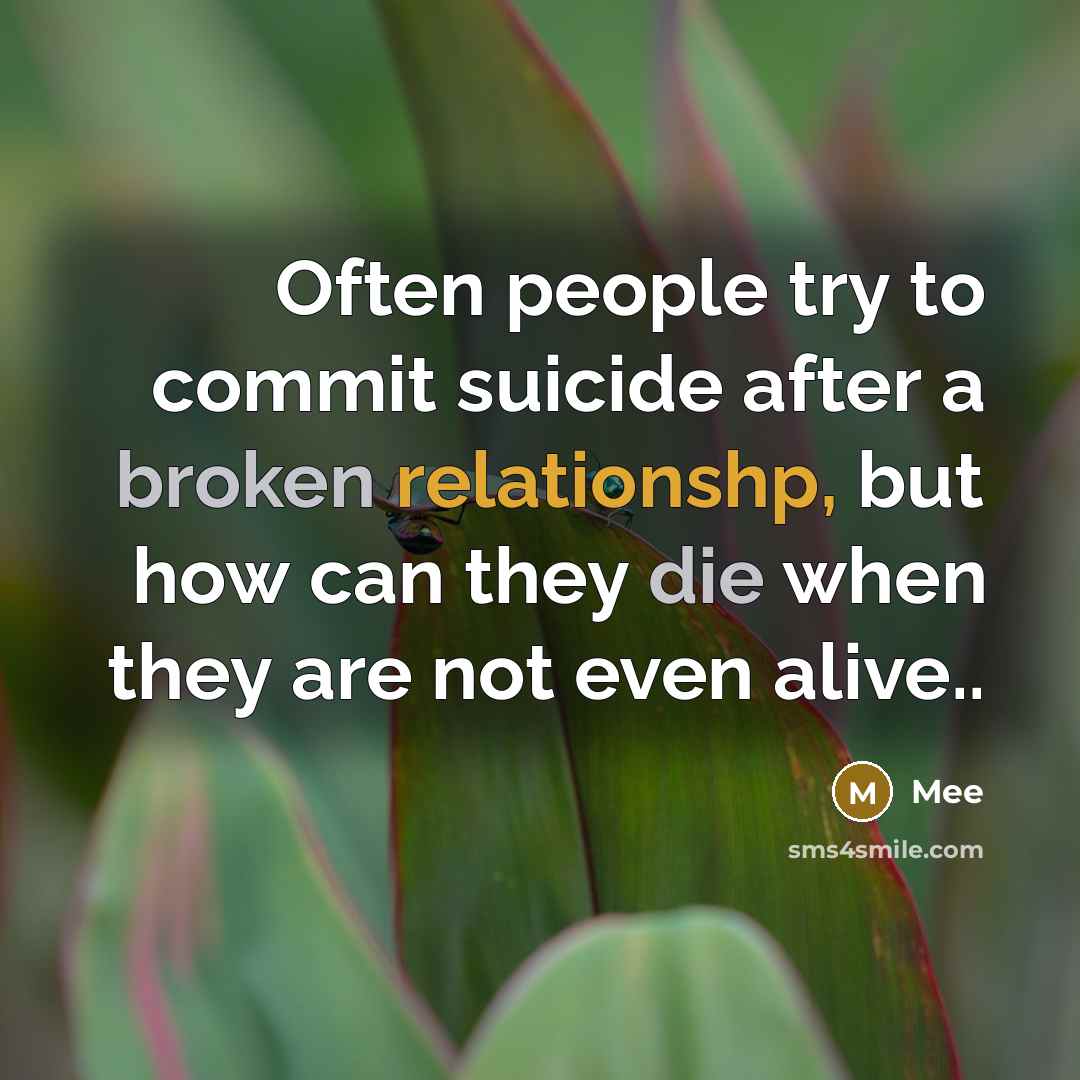 “Often people try to commit suicide after a broken relationshp, but how can they die when they are not even alive..” quote by Mee