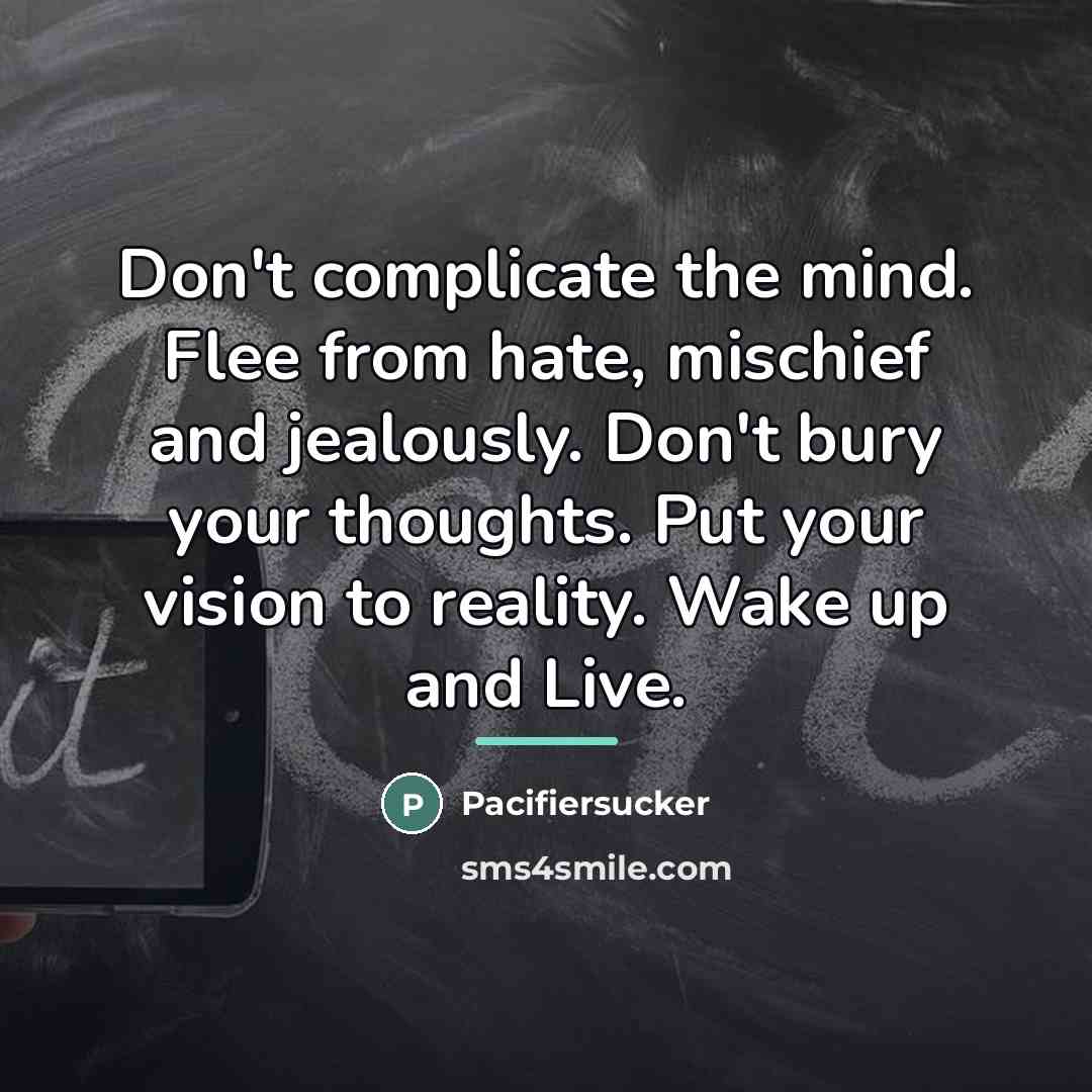 “Don't complicate the mind. Flee from hate, mischief and jealously.…” quote by Pacifiersucker