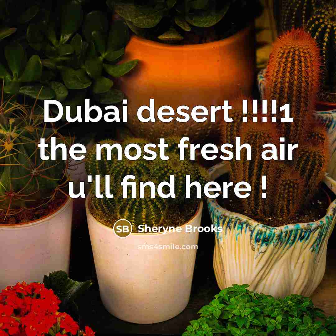“Dubai desert !!!!1 the most fresh air u'll find here…” quote by Sheryne Brooks