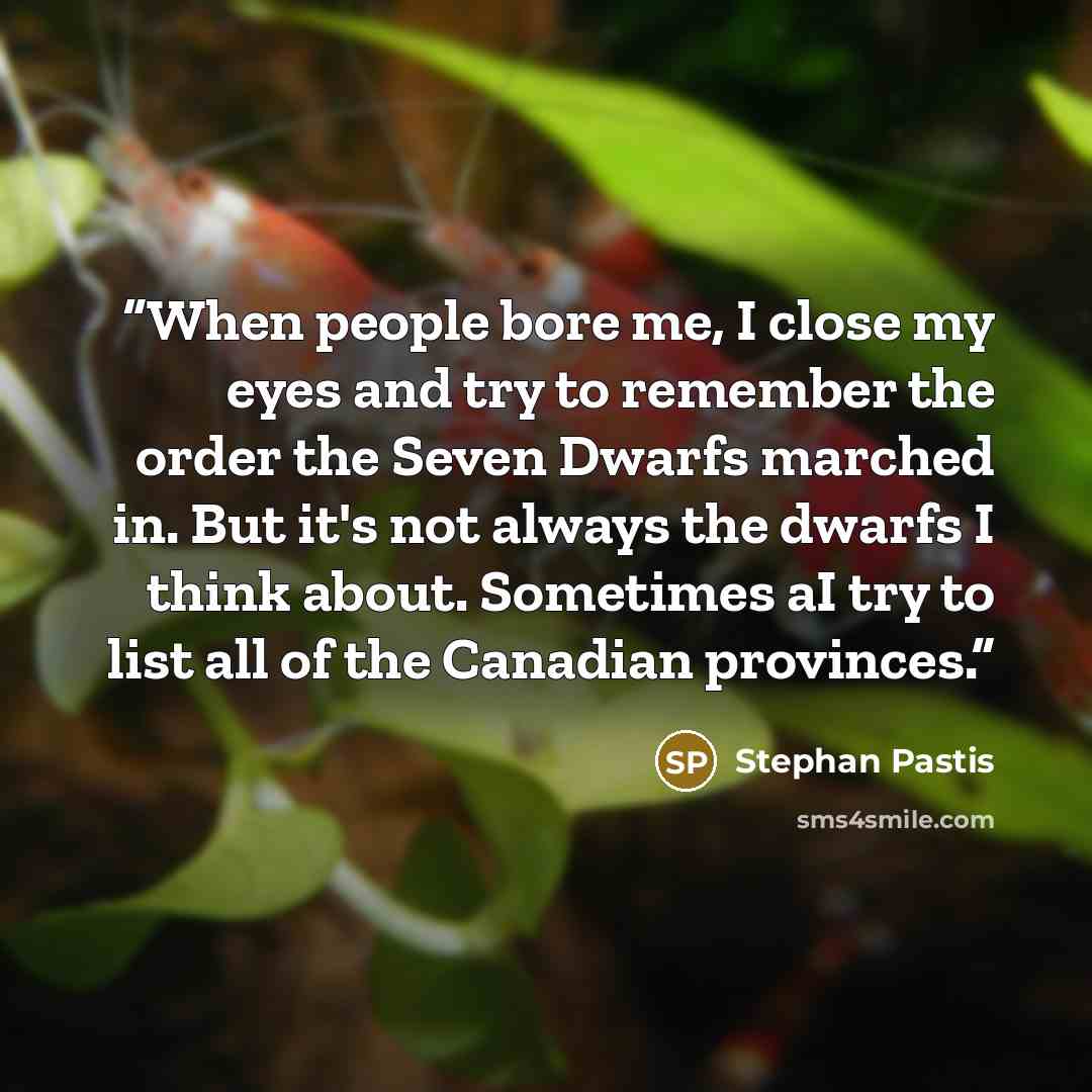 “When people bore me, I close my eyes and try to remember the order the Seven Dwarfs marched in. But it's not always the dwarfs I think about. Sometimes aI try to list all of the Canadian provinces.” quote by Stephan Pastis