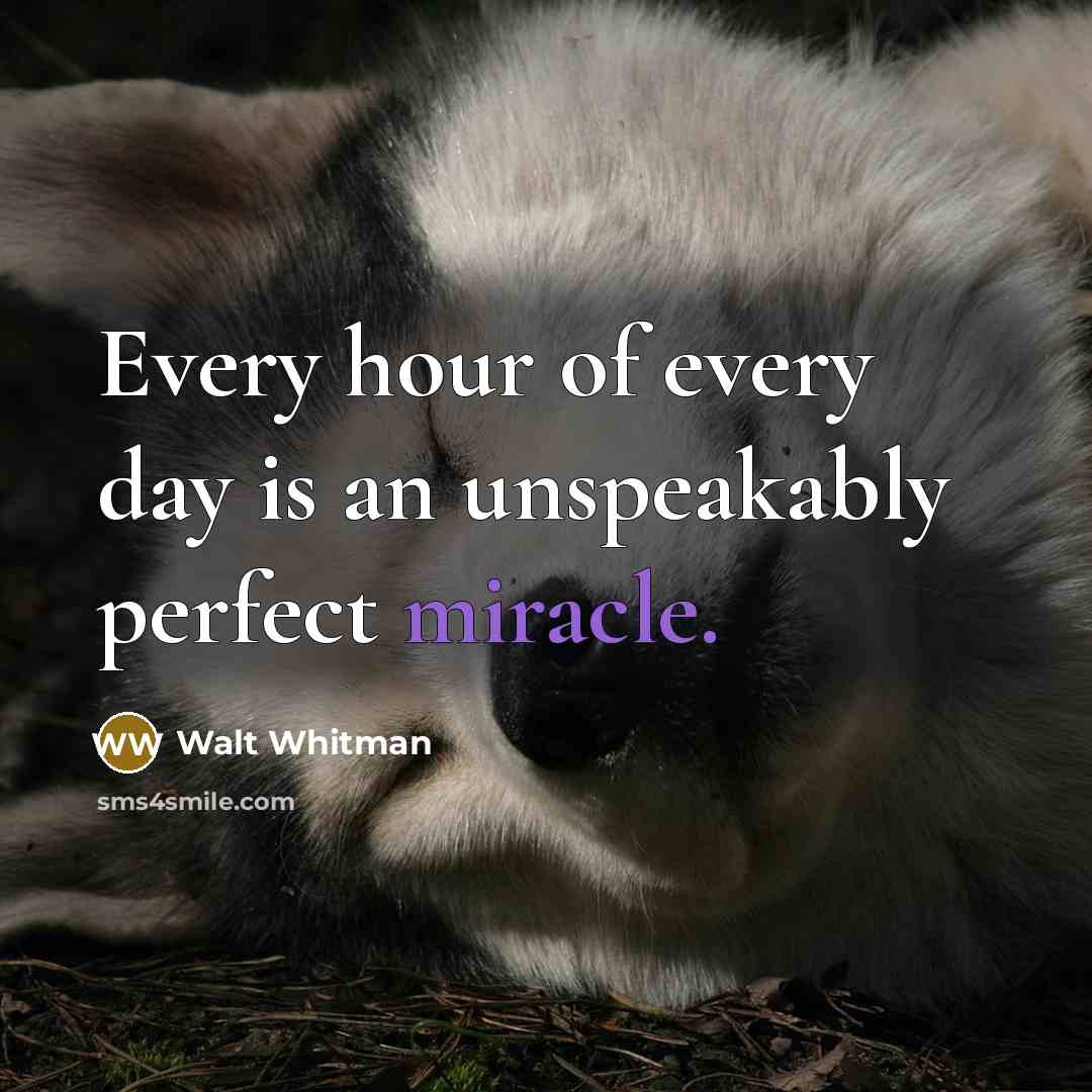 “Every hour of every day is an unspeakably perfect miracle.…” quote by Walt Whitman