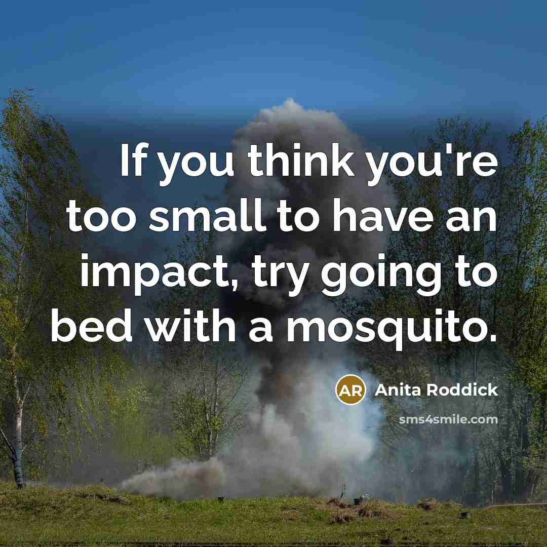 “If you think you're too small to have an impact,…” quote by Anita Roddick