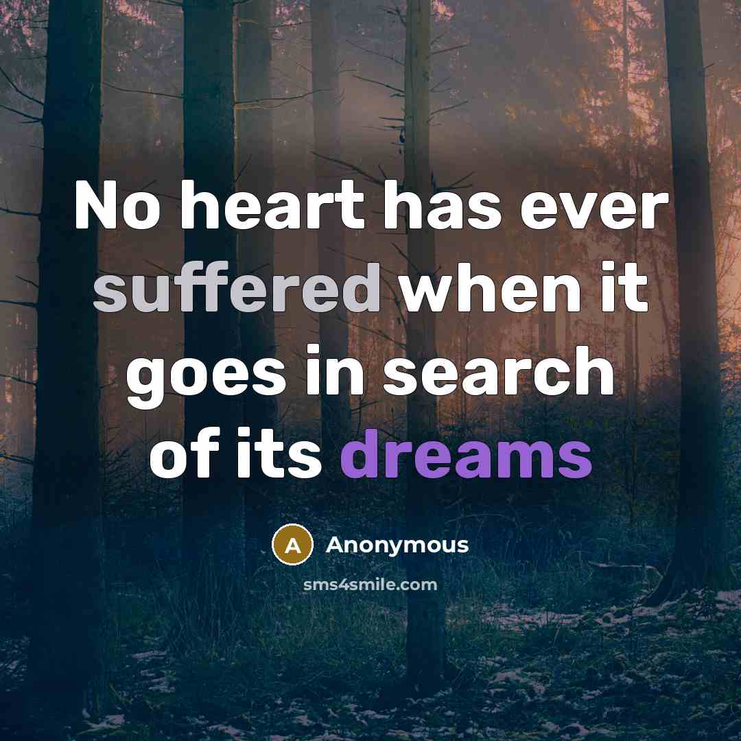 “No heart has ever suffered when it goes in search of its dreams” quote by Anonymous