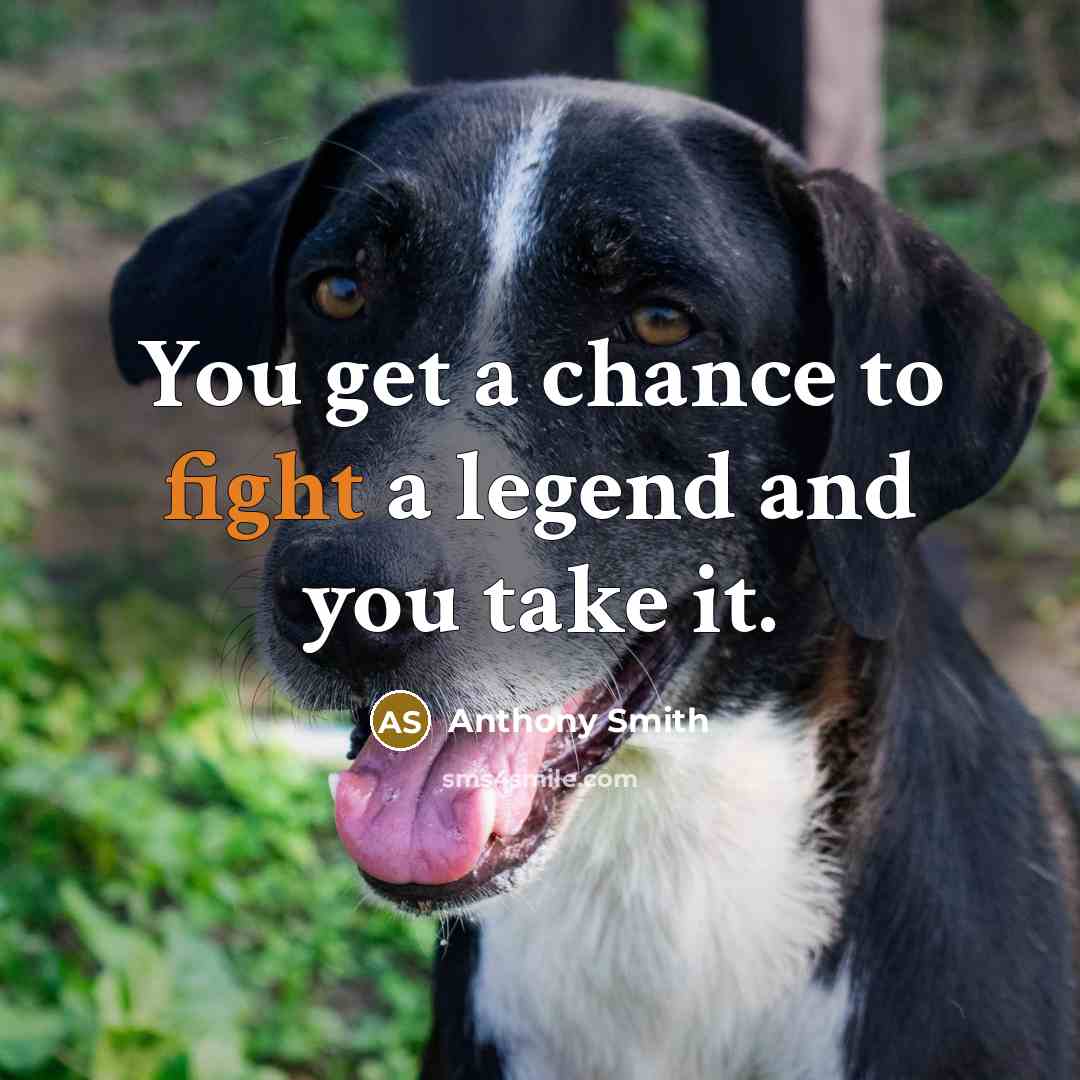 “You get a chance to fight a legend and you…” quote by Anthony Smith